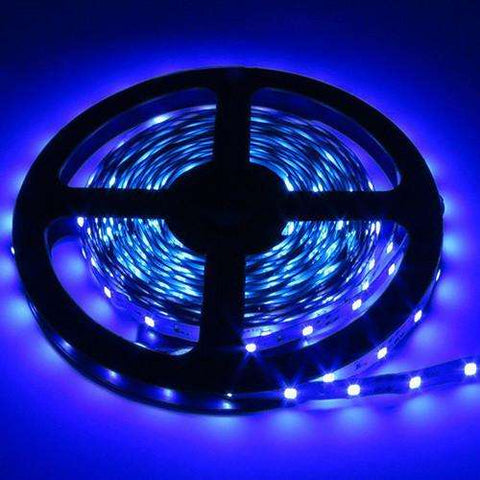 LED Strips - 3528 LED Strips Light 12V 5M 300 Leds - Make Sure Detail Is Perfect